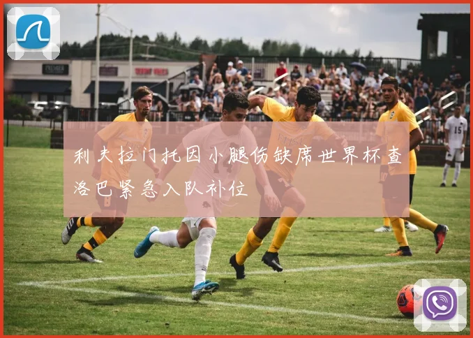 利夫拉门托因小腿伤缺席世界杯查洛巴紧急入队补位