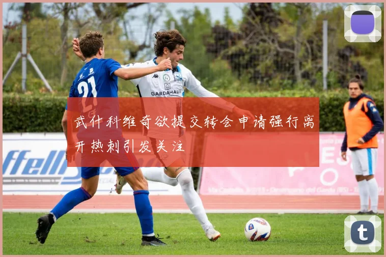 武什科维奇欲提交转会申请强行离开热刺引发关注