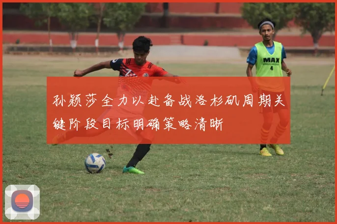 孙颖莎全力以赴备战洛杉矶周期关键阶段目标明确策略清晰